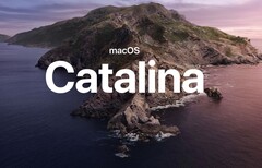 Calalina