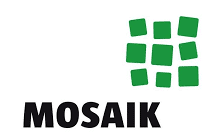 Logo Mosaik