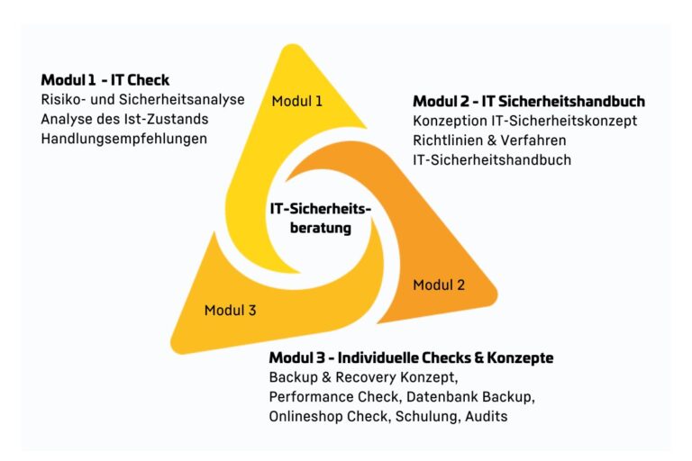 IT-Sicherheit Module snafu